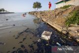Pekerja mengumpulkan tumpahan minyak mentah yang tercecer sungai Limbangan, Indramayu, Jawa Barat, Sabtu (15/6/2024). Tumpahan minyak mentah akibat kebocoran di jalur pipa penghubung Stasiun Pengumpul Utama (SPU) A- MSG Balongan KP10 itu ditangani tim Oilspil dari Pertamina EP field Jatibarang supaya tidak semakin meluas dan mencemari lautan. ANTARA FOTO/Dedhez Anggara/agr
