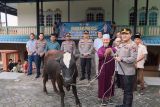 Polresta Tanjungpinang kurban empat ekor sapi