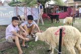 NU Bandarlampung ajak warga salurkan daging ke daerah minim hewan kurban
