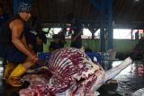 Pekerja memotong sapi kurban di Rumah Pemotongan Hewan (RPH) Kota Madiun, Jawa Timur, Senin (17/6/2024). Pada Idul Adha 1445 Hijriyah hari pertama penyembelihan hewan kurban, RPH tersebut menyembelih 21 ekor sapi dan lima ekor kambing, sedangkan hari kedua, Selasa (18/6) rencananya menyembelih 14 ekor sapi. Antara Jatim/Siswowidodo/um 