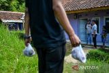 Petugas penyembelihan hewan kurban mendistribusikan daging hewan kurban dari rumah ke rumah di Desa Kebonjati, Kabupaten Sumedang Selatan, Jawa Barat, Senin (17/6/2024). Petugas penyembelihan hewan kurban berinisiatif untuk menyalurkan daging hewan kurban dari rumah ke rumah guna menghindari antrean warga. ANTARA FOTO/Raisan Al Farisi/agr