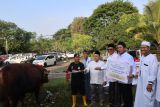 Bukit Asam salurkan 196 sapi dan 65 kambing kurban pada Idul Adha