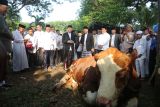 DKM Mesjid Agung Palembang sembelih 14 sapi dan 9 kambing