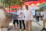 Partai Gerindra Kota Semarang potong tiga sapi untuk dibagikan warga