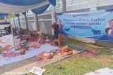 Peradi Bandarlampung salurkan 700 kupon hewan kurban kepada masyarakat