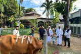 PT Pertamina Patra Niaga Sulawesi bagikan daging kurban 88 sapi-48 kambing