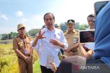Dukungan di Pilkada Jateng, ini sikap Presiden Jokowi