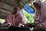 BRIN sebut intervensi kolaboratif dongkrak produktivitas lansia Indonesia