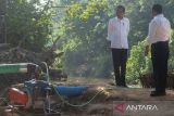 Presiden Jokowi tinjau bantuan pompa air untuk pengairan sawah di Klaten