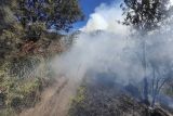Hutan dan lahan terjadi di Savana Widodaren Bromo kembali terbakar