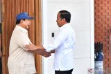 Prabowo beri ucapan ulang tahun langsung ke Presiden Jokowi