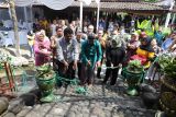 Menteri Desa PDTT meresmikan wisata Aglaonema Park di Kabupaten Sleman