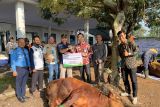 Pengelola Bandara Radin Inten II salurkan kurban bersama Dompet Dhuafa Lampung