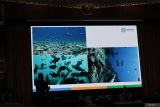 Kemenko Marves-OceanX-BRIN teliti laut Indonesia