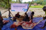 YBM PLN gelar program tebar berkah daging untuk korban bencana di Rambatan Tanah Datar