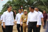 Mentan dampingi Jokowi tinjau Pompanisasi di Kotawaringin Timur