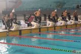 260 peselam ikuti Kejurnas Fin Swimming  di Jakabaring Palembang