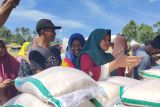 Bulog Lampung sebut ada tambahan 3 bulan alokasi bansos beras 10 kg