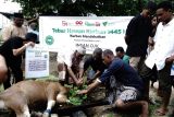 Dompet Dhuafa dan Rois OJK distribusikan daging kurban di Papua