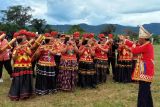 Festival Tampo Lore miliki potensi dukung pembangunan ekonomi