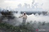 BMKG jaga 2,8 juta hektare gambut di Kalbar dari ancaman kebakaran