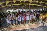 Warga menumbuk padi bersama saat perayaan adat Seren Taun di Cigugur, Kuningan, Jawa Barat, Sabtu (29/6/2024). Tradisi Seren taun yang digelar setiap tahun ini merupakan perwujudan atas rasa syukur masyarakat Cigugur yang mayoritas petani terhadap karunia sang pencipta dan dirayakan pada 22 Raya Agung tahun Saka Sunda. ANTARA FOTO/Dedhez Anggara/agr