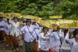 Warga membawa padi sebagai simbol kebersamaan saat perayaan adat Seren Taun di Cigugur, Kuningan, Jawa Barat, Sabtu (29/6/2024). Tradisi Seren taun yang digelar setiap tahun ini merupakan perwujudan atas rasa syukur masyarakat Cigugur yang mayoritas petani terhadap karunia sang pencipta dan dirayakan pada 22 Raya Agung tahun Saka Sunda. ANTARA FOTO/Dedhez Anggara/agr