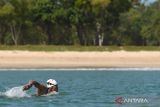 Perenang Indonesia Aflah Fadlan Prawira memacu kecepatan saat mengikuti pertandingan nomor 10 kilometer 2nd Southeast Asia Open Water Swimming Championships 2024 di Jimbaran, Badung, Bali, Sabtu (29/6/2024). Perenang Indonesia Aflah Fadlan Prawira berhasil menjuarai nomor 10 kilometer putra kategori usia 20 tahun ke atas dengan catatan waktu 2 jam 5 menit 23 detik disusul perenang asal Thailand Suabsakul Kumton dengan waktu 2 jam 7 menit 2 detik dan perenang Indonesia Dimas Permana Taufik dengan waktu 2 jam 14 menit 16 detik. ANTARA FOTO/Fikri Yusuf/wsj.