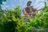 Budi daya rumput laut di Karimunjawa