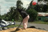DPRD Seruyan minta pemda maksimalkan pengelolaan produk hasil pertanian