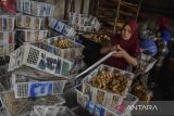 Pekerja mengemas tahu goreng berbahan kedelai impor di Dusun Cibodas, Ciamis, Jawa Barat, Selasa (2/7/2024). Harga kedelai impor di tingkat para pembuat tahu naik dari Rp11.200 menjadi Rp16.200 per kilogram karena dampak dari menguatnya dolar AS terhadap rupiah. ANTARA FOTO/Adeng Bustomi/agr