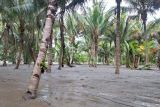Banjir lumpur rusak lahan perkebunan dan pertanian warga Desa Jono