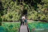 Menparekraf: Pelestarian ubur-ubur di Pulau Kalabar, Kaltim, gaet wisatawan