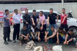 Polres Agam tangkap enam pelaku pencurian sarang walet asal Aceh