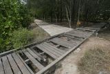 Fasilitas jembatan tajuk hutan mangrove yang rusak di kawasan Hutan Kota Tibang Banda Aceh, Kamis (4/7/2024). Hutan Kota Tibang Banda Aceh dengan luas sekitar 7,15 hektare memiliki daya tersendiri sebagai objek wisata, serta sarana edukasi tentang kelestarian alam, namun saat ini beberapa fasilitas umum perlu diperbaikan akibat lapuk termakan usia, apalagi dalam menghadapi kunjungan wisatawan saat penyelenggaraan PON XXI Aceh-Sumut pada 8-20 September 2024. ANTARA/Khalis Surry