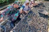 Kodim 1620 Lombok Tengah laksanakan program pembibitan 2.000 pohon