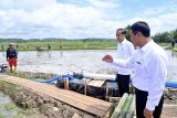 Presiden Jokowi meninjau proyek pompanisasi Sulsel guna jaga produktivitas tani