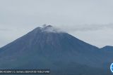 Gunung Semeru erupsi enam kali