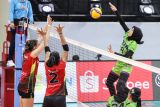 Pevoli putri Jakarta BIN Megawati Hangestri Pertiwi (kanan) melakukan smes ke arah pevoli putri Jakarta Pertamina Enduro Ivana Vanjak (kiri) dan Maradanti Namira Tegariani (tengah) pada pertandingan Final Four PLN Mobile Proliga 2024 di GOR Bung Tomo, Surabaya, Jawa Timur, Kamis (4/7/2024). Jakarta Pertamina Enduro menang atas Jakarta BIN dengan skor 3-1 (25-23, 25-23, 22-25, dan 25-22). Antara Jatim/Rizal Hanafi/um