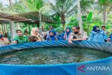 DKP Kulon Progo melaksanakan pelatihan antisipasi hama penyakit ikan