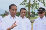 Presiden Jokowi tinjau bahan pokok di Pasar Cekkeng Bulukumba Sulsel