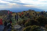 Pendaki Gunung Lompobattang didenda Rp500 ribu gegara lintasi Bulu Baria Gowa