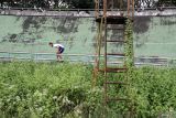 Pesepatu roda melakukan latihan di sirkuit yang ditumbuhi semak belukar di Velodrome, Malang, Jawa Timur, Rabu (10/7/2024). Bangunan gelanggang olahraga balap sepeda dan sepatu roda yang merupakan aset Pemprov Jatim tersebut rusak di beberapa bagian karena tidak terawat dan belum ada perbaikan meski sudah beberapa kali menjadi tempat kejuaraan nasional. Antara Jatim/Ari Bowo Sucipto/um