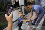 Sejumlah pengunjung berinteraksi dengan satwa di Delipark Mall Medan, Sumatera Utara, Rabu (10/7/2024). Kebun binatang mini di pusat perbelanjaan tersebut dihadirkan sebagai sarana edukasi sekaligus hiburan bagi anak-anak selama masa libur sekolah. ANTARA FOTO/Yudi Manar