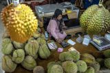 DPRD Seruyan upayakan usulan masyarakat tentang bantuan bibit durian