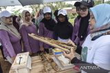 Sejumlah anggota Kelompok Wanita Tani Alam Ceria mengikuti pelatihan budi daya madu klanceng (trigona) di Kampung Pasir Bakukung, Desa Gunung Tanjung, Kabupaten Tasikmalaya, Jawa Barat, Kamis (11/7/2024). Komunitas Nyaah ka Alam bekerja sama dengan Women's Earth Alliance (WEA) memberdayakan ibu rumah tangga dan perempuan dalam membudidayakan lebah madu guna meningkatkan kesejahteraan ekonomi warga di sektor kehutanan dan pertanian. ANTARA FOTO/Adeng Bustomi/agr