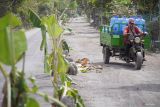 Warga melintasi jalan rusak yang diblokade menggunakan pohon pisang di Desa Condro, Kecamatan Pasirian, Lumajang, Jawa Timur, Kamis (11/7/2024). Aksi blokade jalan menggunakan pohon pisang, mobil pikap, dan ban bekas sejauh 1,2 kilometer tersebut sebagai bentuk protes warga akibat jalan rusak yang tak kunjung diperbaiki selama setahun terakhir.  ANTARA Jatim/Irfan Sumanjaya/mas.