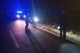 Tabrak kuda liar, Seorang pengendara motor di Lombok Timur tewas