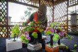 Petugas Unit Penanganan Sampah Badan Air Gambir menata tanaman hias dari limbah plastik di Gambir, Jakarta, Jumat (12/7/2024). Kreasi pembuatan daur ulang tanaman hias plastik tersebut terbuat dari limbah plastik yang ditemukan di aliran sungai. ANTARA FOTO/Erlangga Bregas Prakoso/foc.