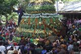 Warga berebut gunungan berisi hasil bumi saat upacara adat Kebur Ubalan di kawasan wisata sumber air Ubalan, Kediri, Jawa Timur, Sabtu (13/7/2024). Tradisi berebut gunungan pada bulan Suro penanggalan Jawa di kawasan mata air tersebut guna melestarikan budaya leluhur sekaligus sebagai sarana promosi wisata. ANTARA Jatim/Prasetia Fauzani/mas.